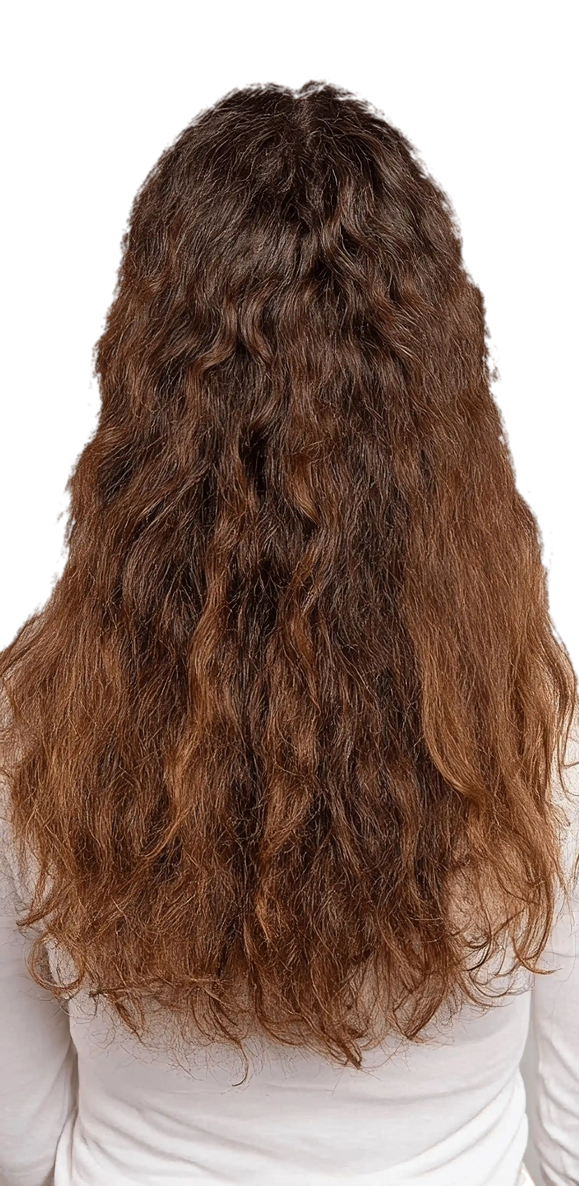 Before – Elvera Hair Oil